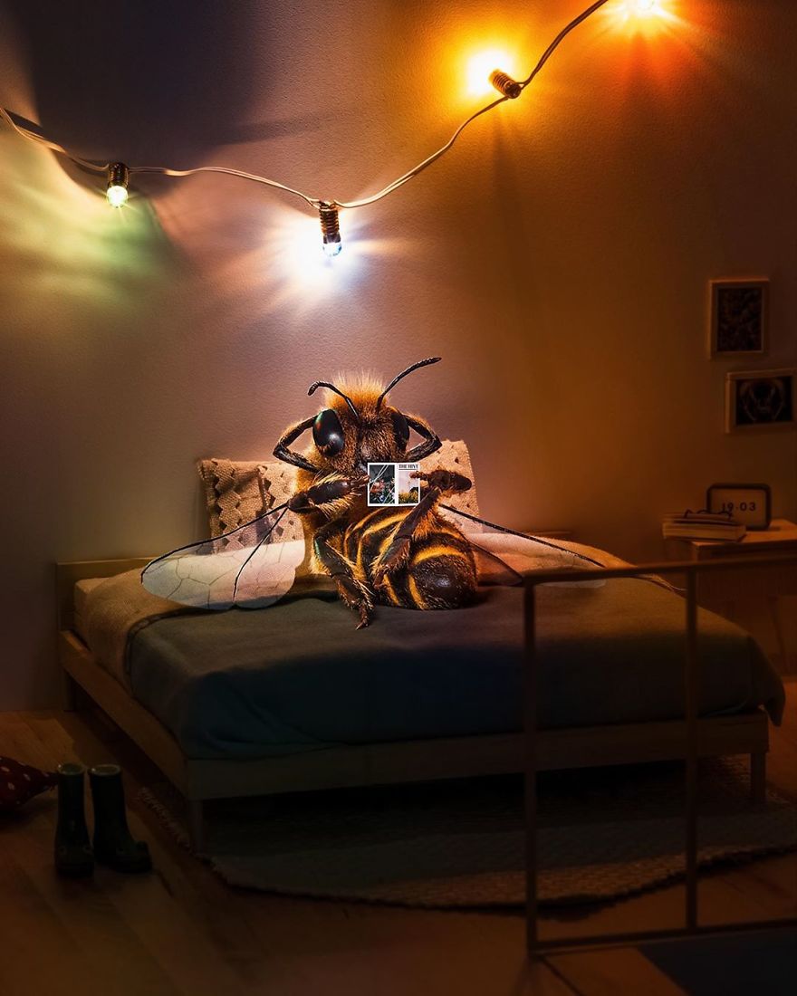 The World's First Influential Bee Is An Activist For The Preservation Of Its Species