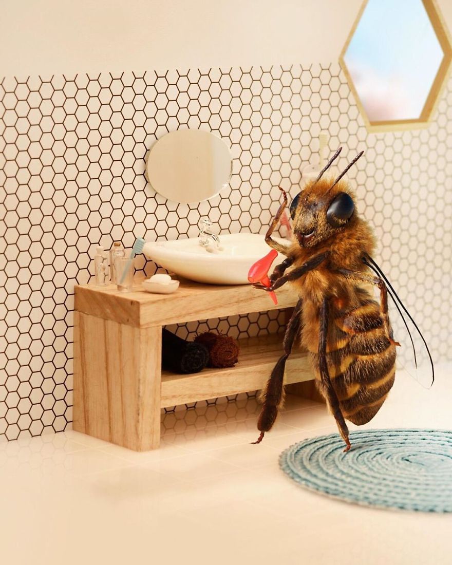 The World's First Influential Bee Is An Activist For The Preservation Of Its Species