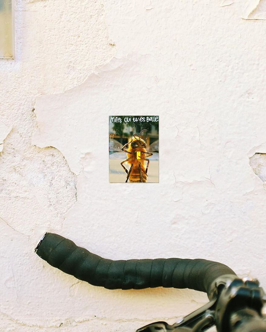 The World's First Influential Bee Is An Activist For The Preservation Of Its Species