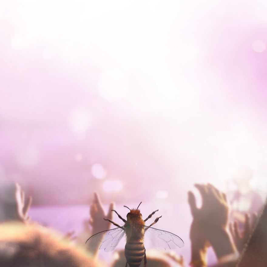 The World's First Influential Bee Is An Activist For The Preservation Of Its Species