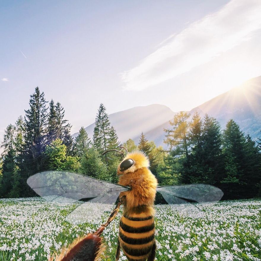 The World's First Influential Bee Is An Activist For The Preservation Of Its Species