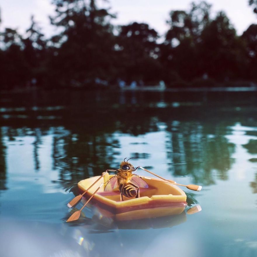 The World's First Influential Bee Is An Activist For The Preservation Of Its Species