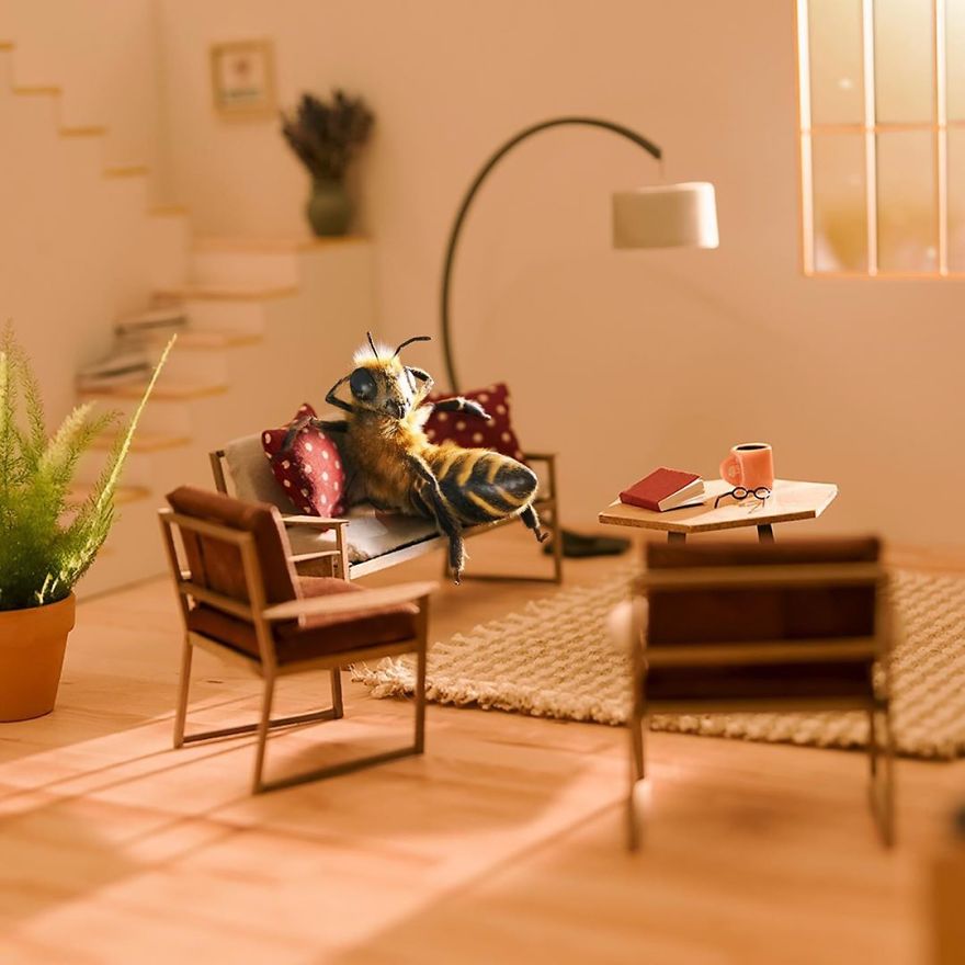 The World's First Influential Bee Is An Activist For The Preservation Of Its Species