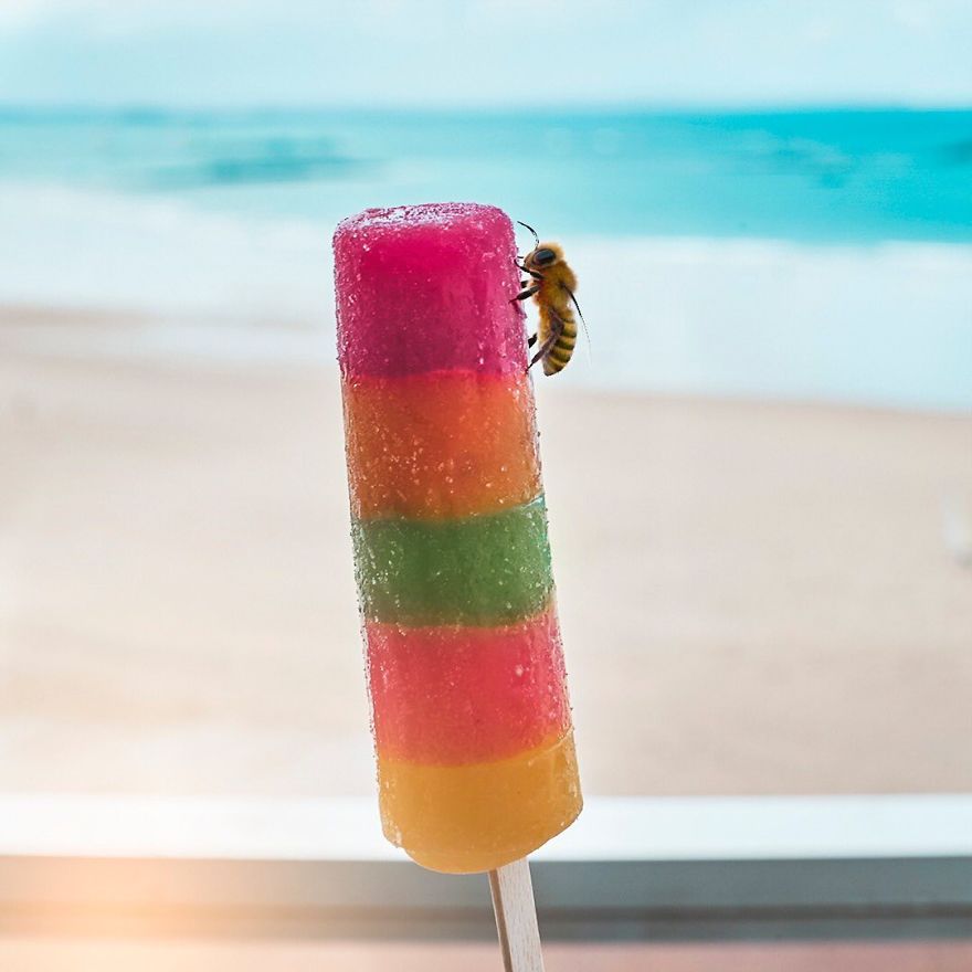 The World's First Influential Bee Is An Activist For The Preservation Of Its Species