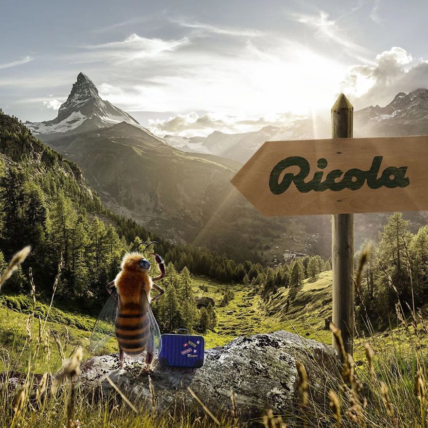 The World's First Influential Bee Is An Activist For The Preservation Of Its Species