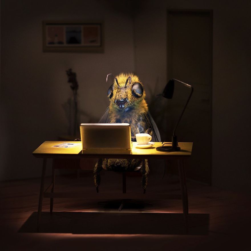 The World's First Influential Bee Is An Activist For The Preservation Of Its Species