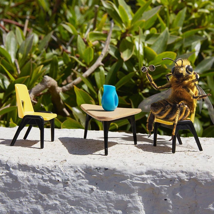 The World's First Influential Bee Is An Activist For The Preservation Of Its Species