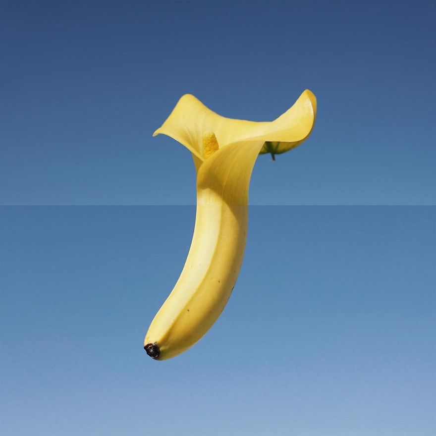 This Artist Combines Photographs To Create Surreal Scenes From Everyday Life