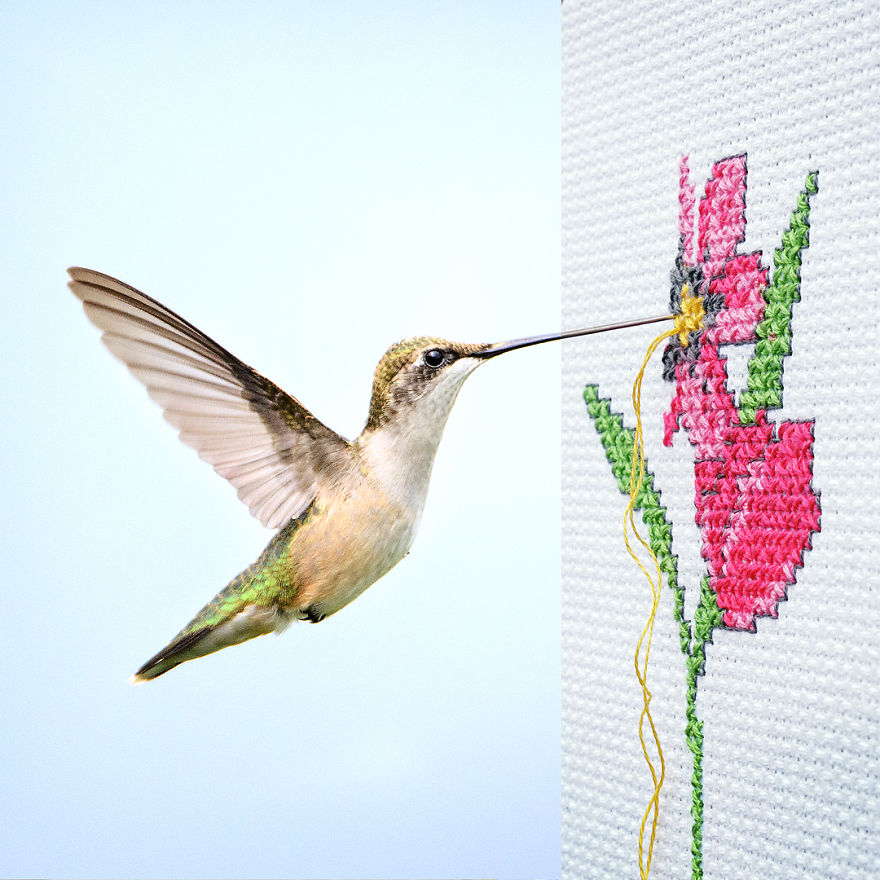 This Artist Combines Photographs To Create Surreal Scenes From Everyday Life