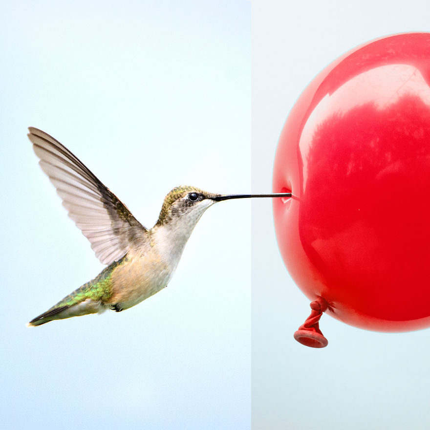 This Artist Combines Photographs To Create Surreal Scenes From Everyday Life