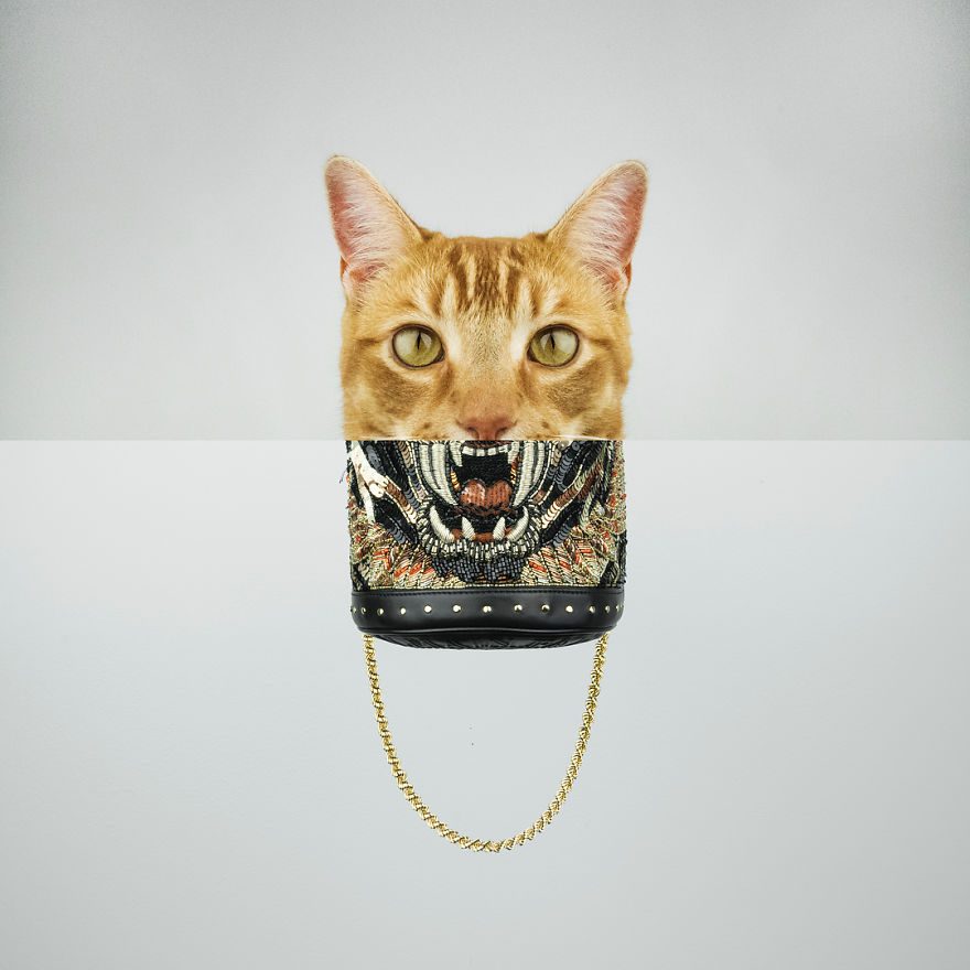 This Artist Combines Photographs To Create Surreal Scenes From Everyday Life