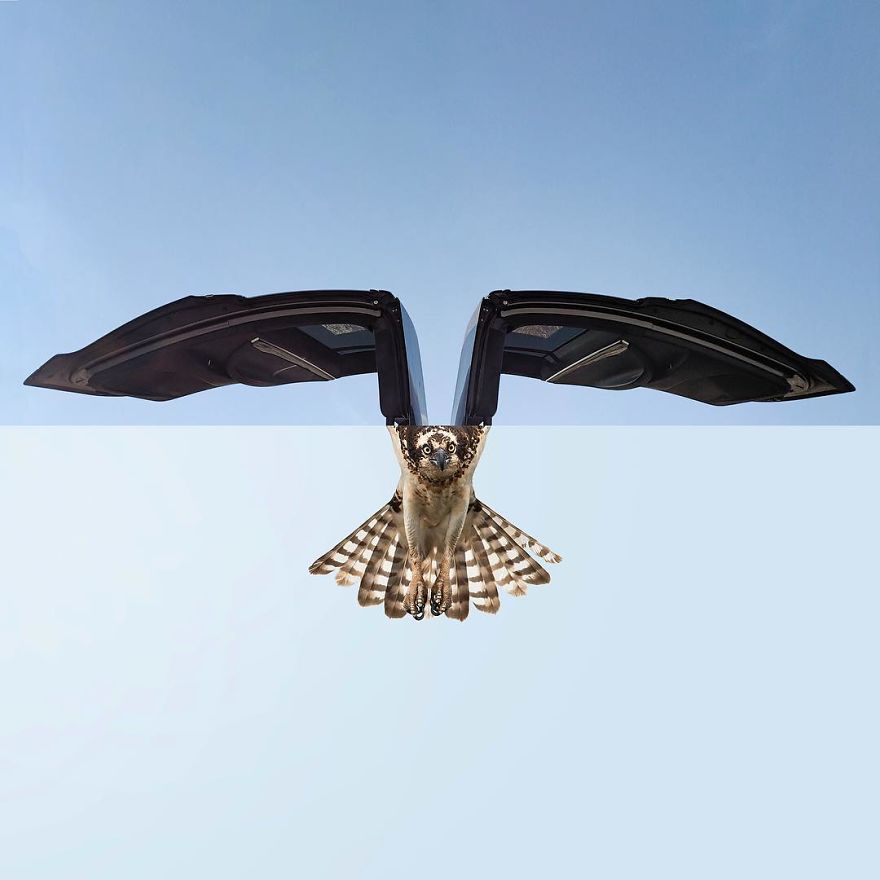 This Artist Combines Photographs To Create Surreal Scenes From Everyday Life