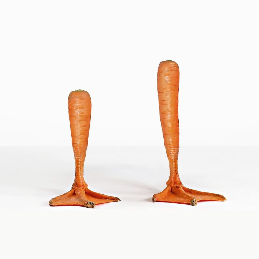 This Artist Combines Photographs To Create Surreal Scenes From Everyday Life