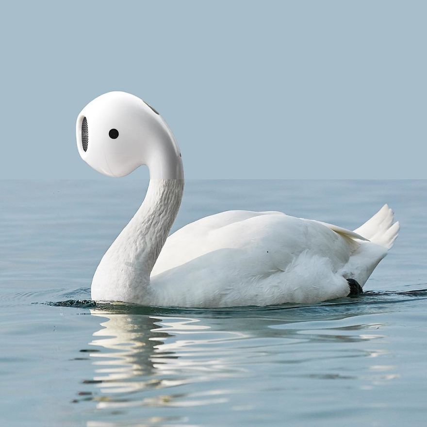 This Artist Combines Photographs To Create Surreal Scenes From Everyday Life