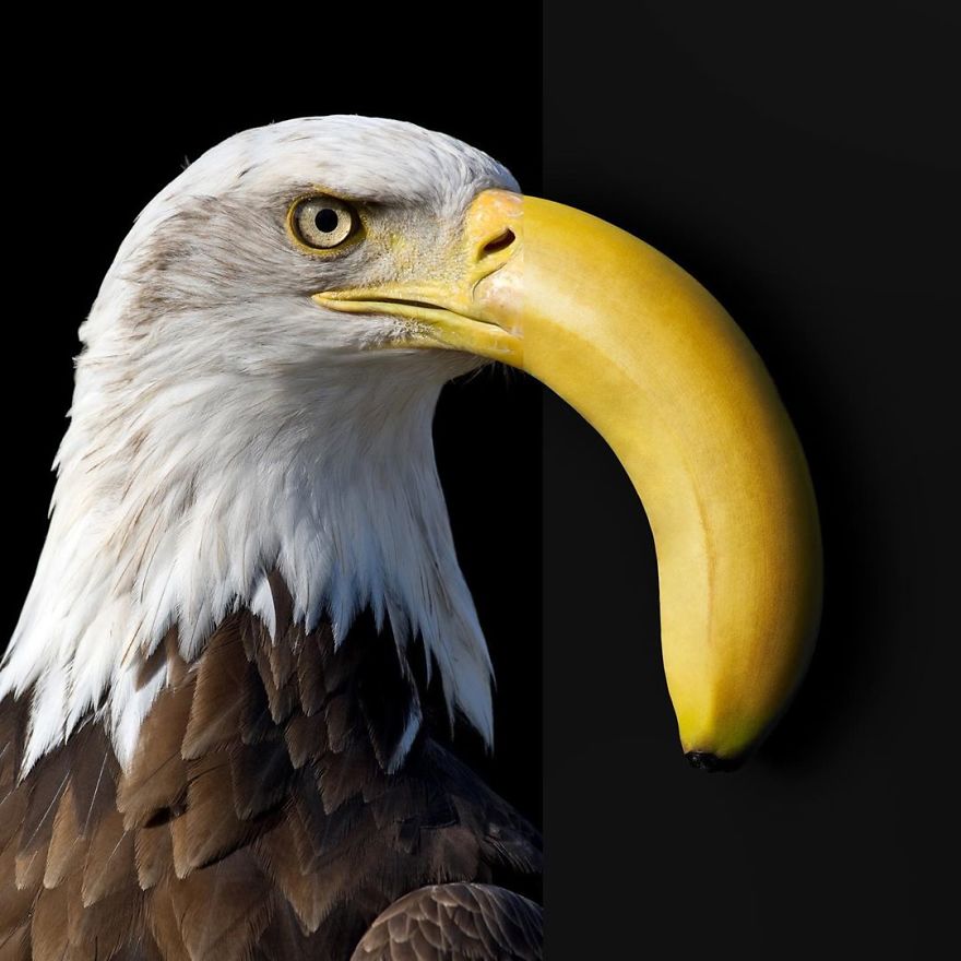 This Artist Combines Photographs To Create Surreal Scenes From Everyday Life