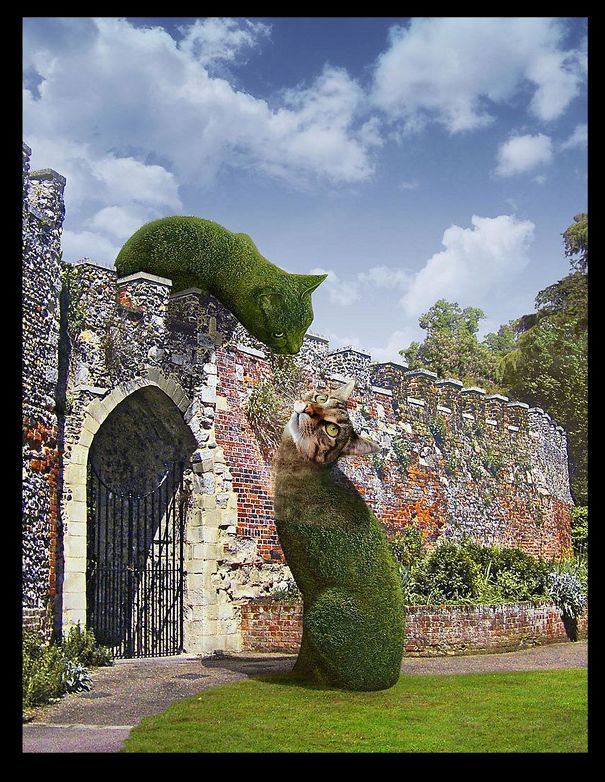 Topiary-Cats-5db1c9a47999b.jpg
