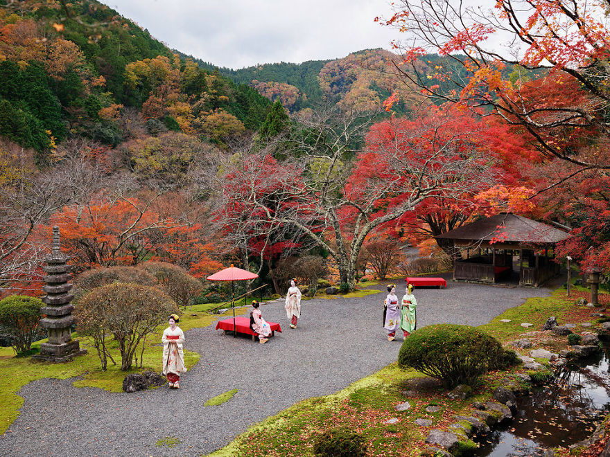 Anoush Abrar – Finalist