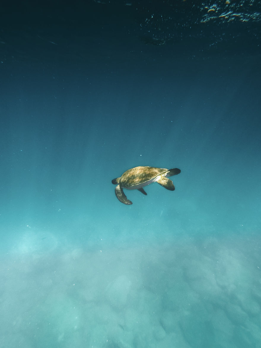 Tropical, Pablo Garcia Fuentes, Spain