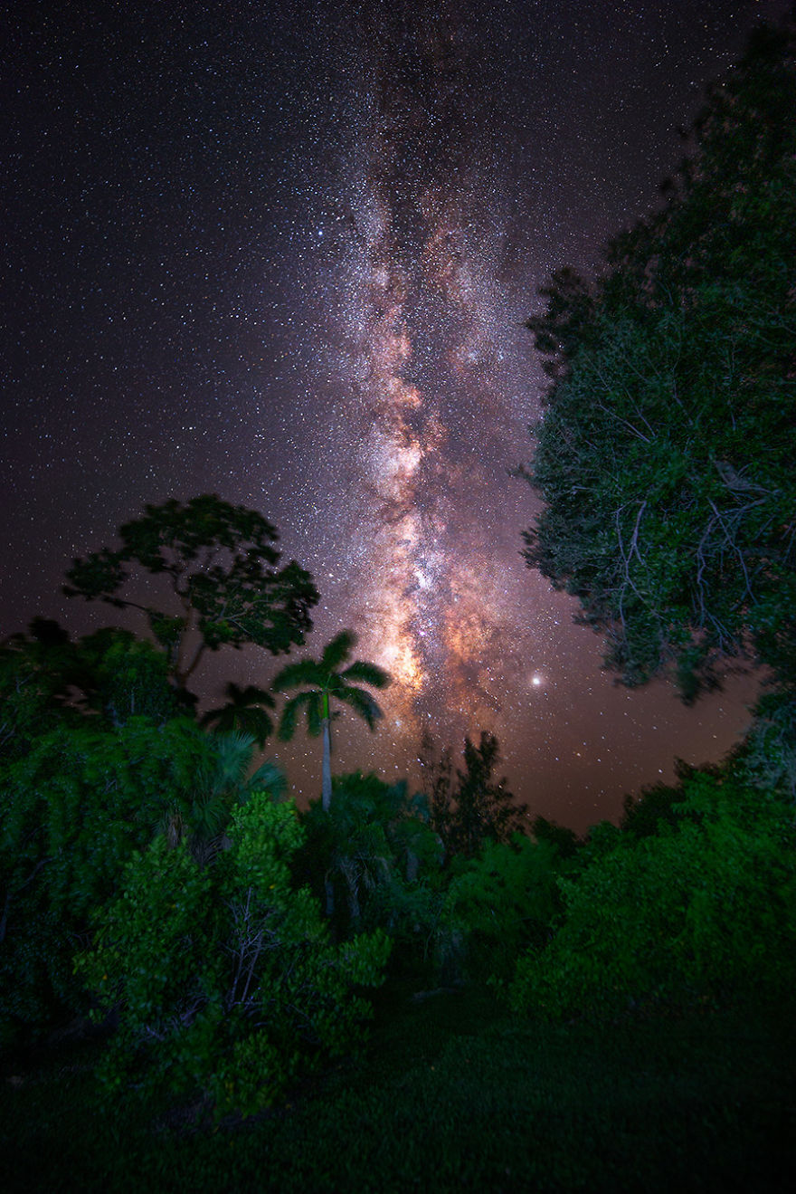 Exploring The Dark Skies Of The Everglades