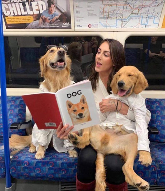 Pet-Dog-Funny-Photography-Soulmates-Hugo-Huxley-Ursula-Aitchinson