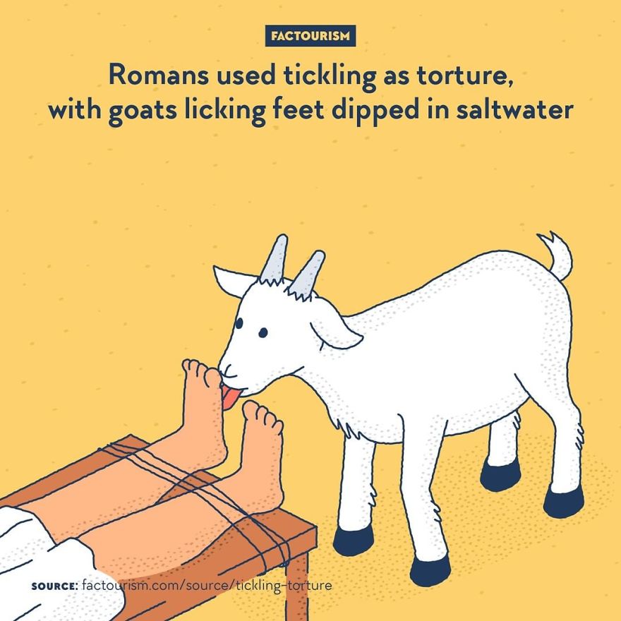 We Love Strange Facts And Decided To Draw Our Favourites. Here Are 30 Of Them.