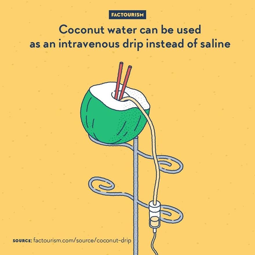 We Love Strange Facts And Decided To Draw Our Favourites. Here Are 30 Of Them.