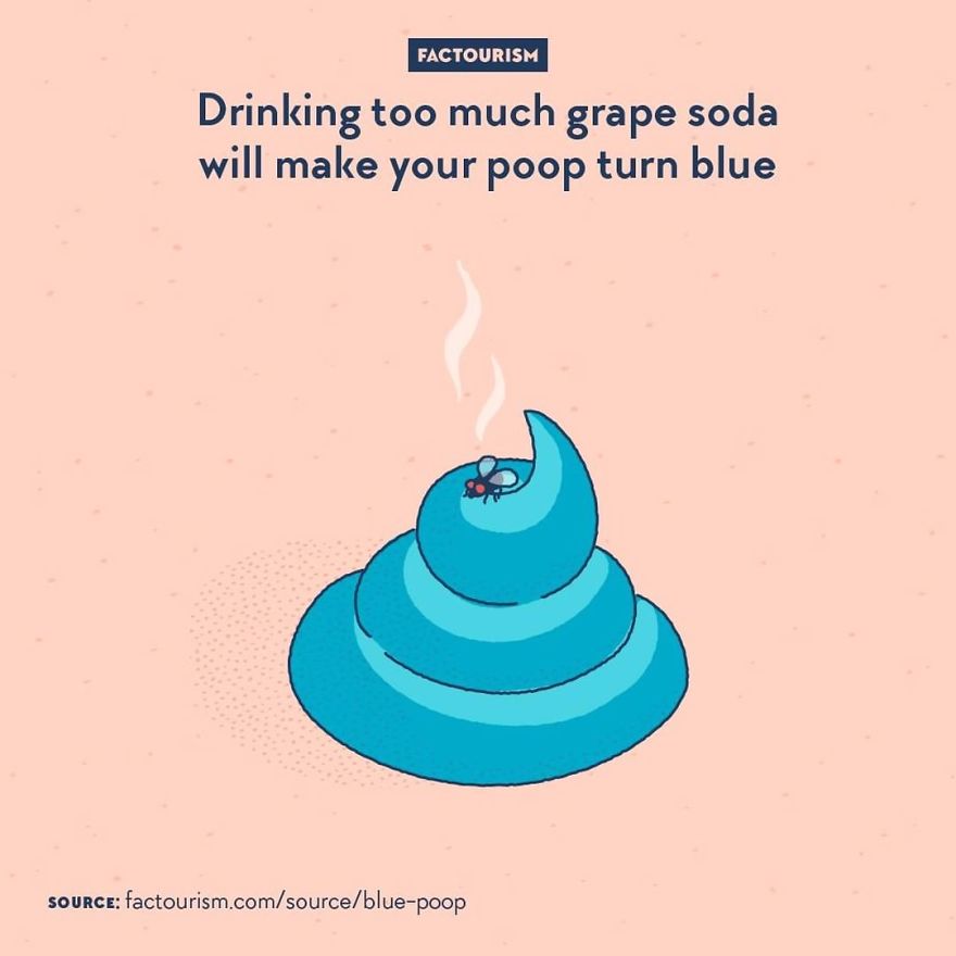 We Love Strange Facts And Decided To Draw Our Favourites. Here Are 30 Of Them.