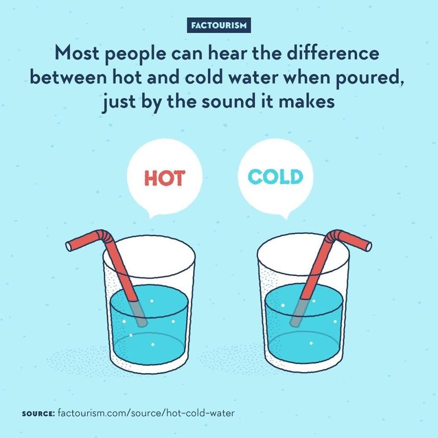 We Love Strange Facts And Decided To Draw Our Favourites. Here Are 30 Of Them.