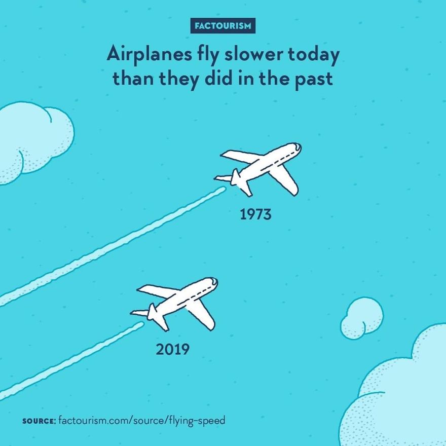 We Love Strange Facts And Decided To Draw Our Favourites. Here Are 30 Of Them.