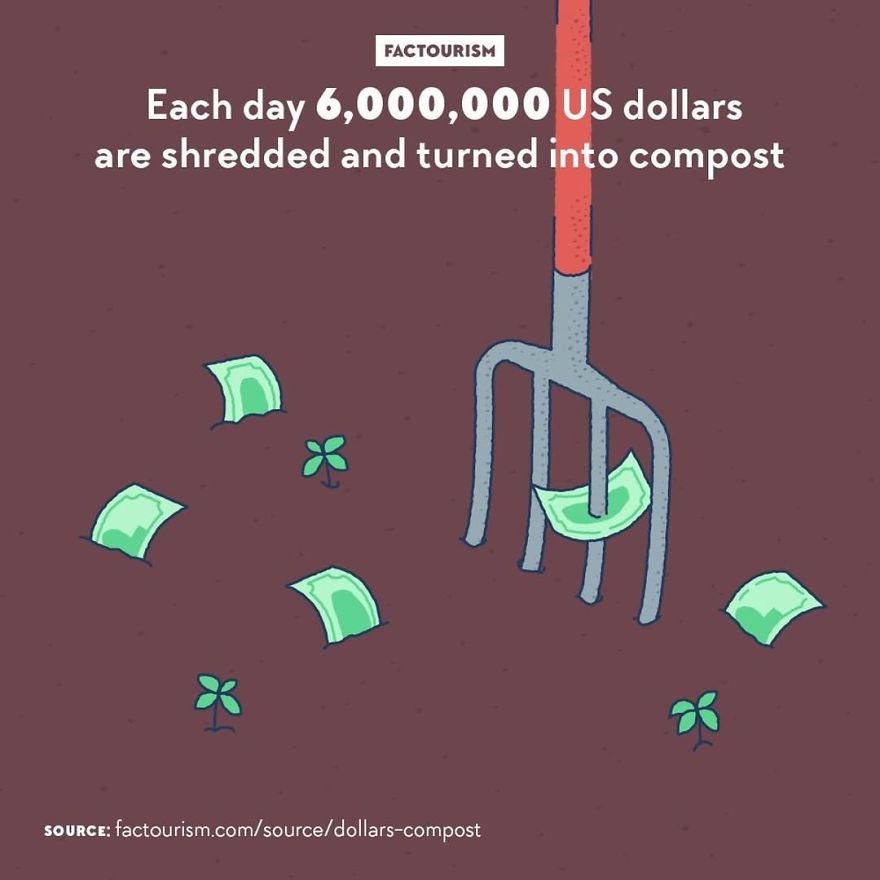 We Love Strange Facts And Decided To Draw Our Favourites. Here Are 30 Of Them.