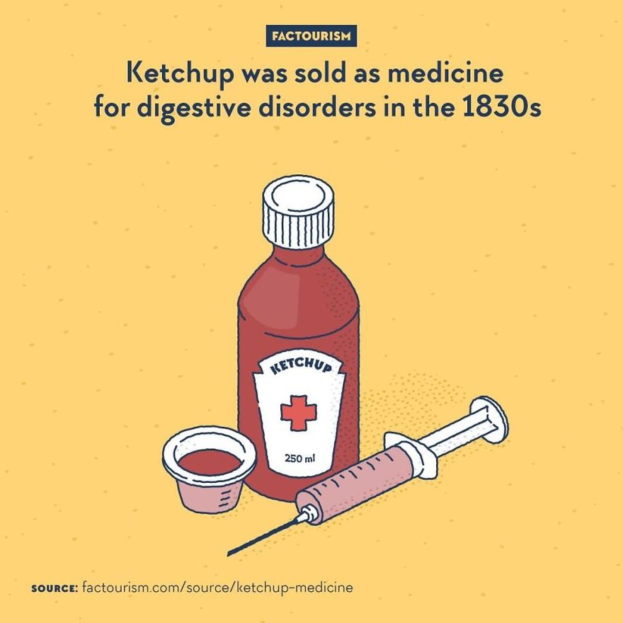 We Love Strange Facts And Decided To Draw Our Favourites. Here Are 30 Of Them.