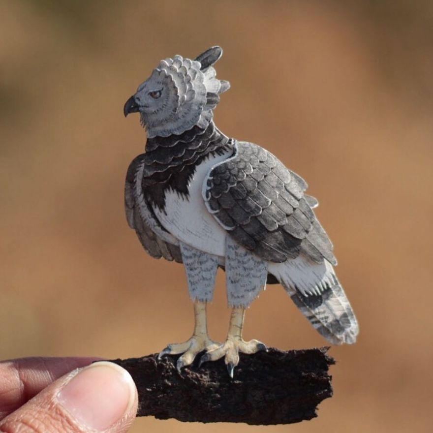 We’ve Been Creating Miniature Paper Birds And Animals Every Day Since 1st January 2018