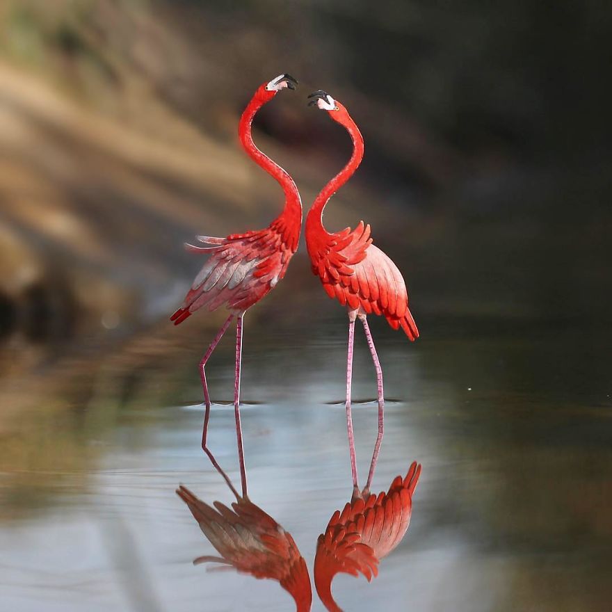We’ve Been Creating Miniature Paper Birds And Animals Every Day Since 1st January 2018