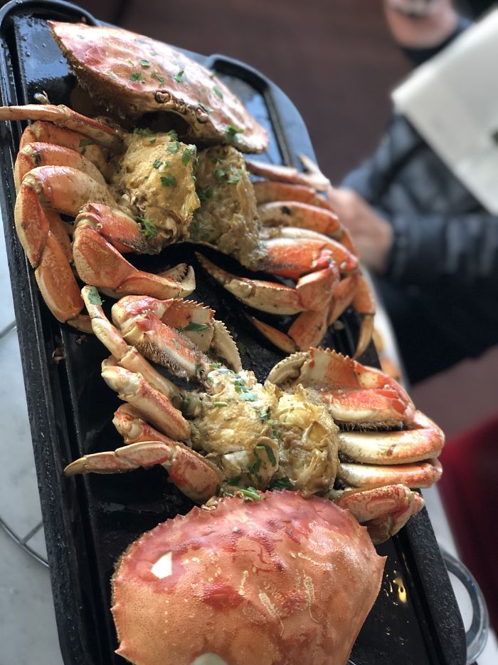 Australian Traveler Went To The US & Documented American Food Australian Traveler Went To The US & Documented American Food