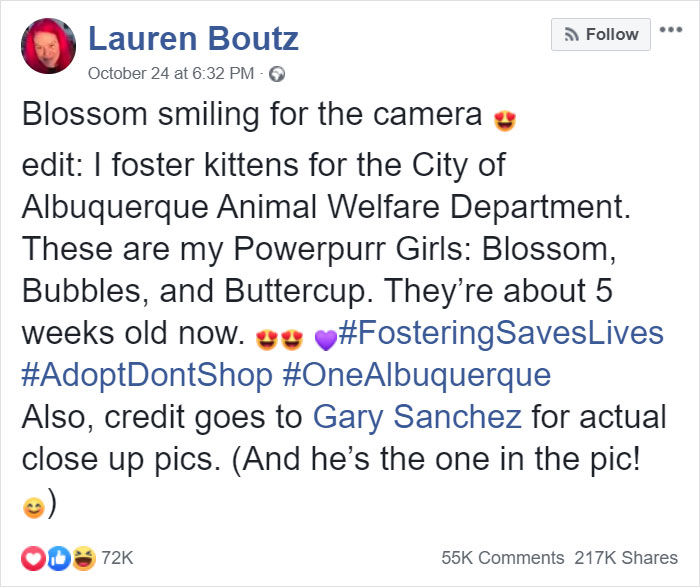 Foster Kitty Gives The Cutest Smile During A Photoshoot And It Takes Over The Internet