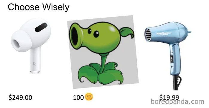 Comparison meme featuring AirPods Pro, a cartoon plant, and a hairdryer with prices.