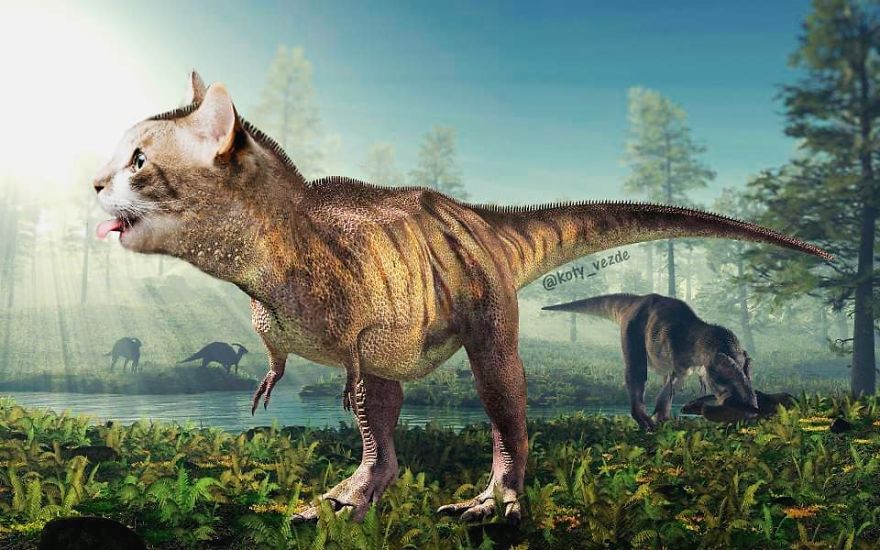 Animals-Photoshopped-Cats-Koty-Vezde