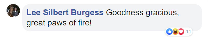 Man Accidentally Captures A Video Of His Baby Daughter Dancing To Their Dog Playing The Piano