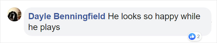 Man Accidentally Captures A Video Of His Baby Daughter Dancing To Their Dog Playing The Piano