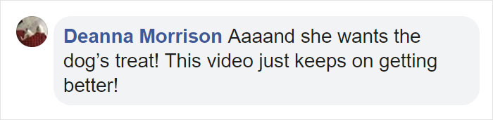 Man Accidentally Captures A Video Of His Baby Daughter Dancing To Their Dog Playing The Piano