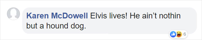 Man Accidentally Captures A Video Of His Baby Daughter Dancing To Their Dog Playing The Piano