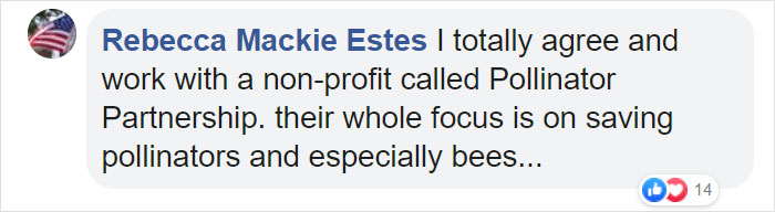 Bees Are Now Officially Declared To Be The Most Important Beings On Earth Bees Are Now Officially Declared To Be The Most Important Beings On Earth