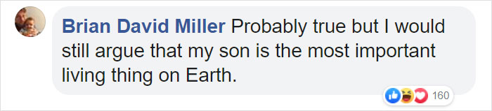 Bees Are Now Officially Declared To Be The Most Important Beings On Earth