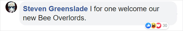 Bees Are Now Officially Declared To Be The Most Important Beings On Earth Bees Are Now Officially Declared To Be The Most Important Beings On Earth