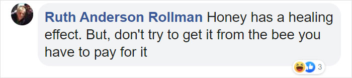 Bees Are Now Officially Declared To Be The Most Important Beings On Earth Bees Are Now Officially Declared To Be The Most Important Beings On Earth