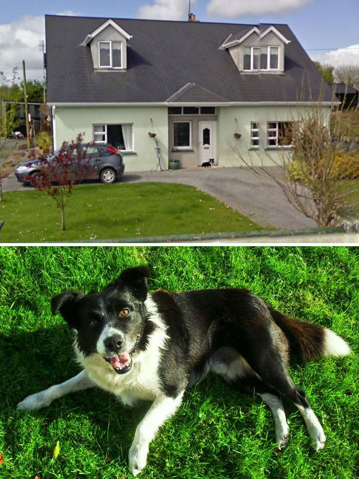 People-Share-Images-Of-Dead-Relatives-And-Pets-Found-On-Streat-View