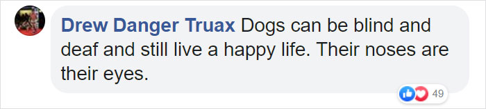 This Deaf And Blind Puppy Named Piglet Shows Kids How To Deal With Differences This Deaf And Blind Puppy Named Piglet Shows Kids How To Deal With Differences