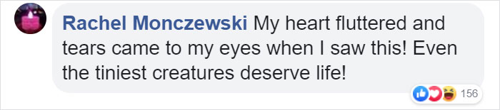 Zoo Asks For Woman’s Help In Repairing Butterfly's Wings, She Gives It A Transplant Zoo Asks For Woman’s Help In Repairing Butterfly's Wings, She Gives It A Transplant