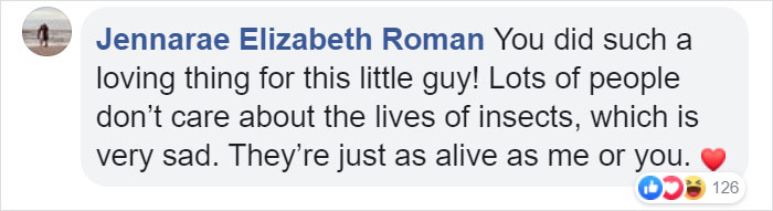 Zoo Asks For Woman’s Help In Repairing Butterfly's Wings, She Gives It A Transplant Zoo Asks For Woman’s Help In Repairing Butterfly's Wings, She Gives It A Transplant