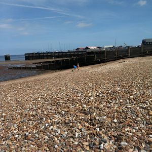 rebeccastewart avatar